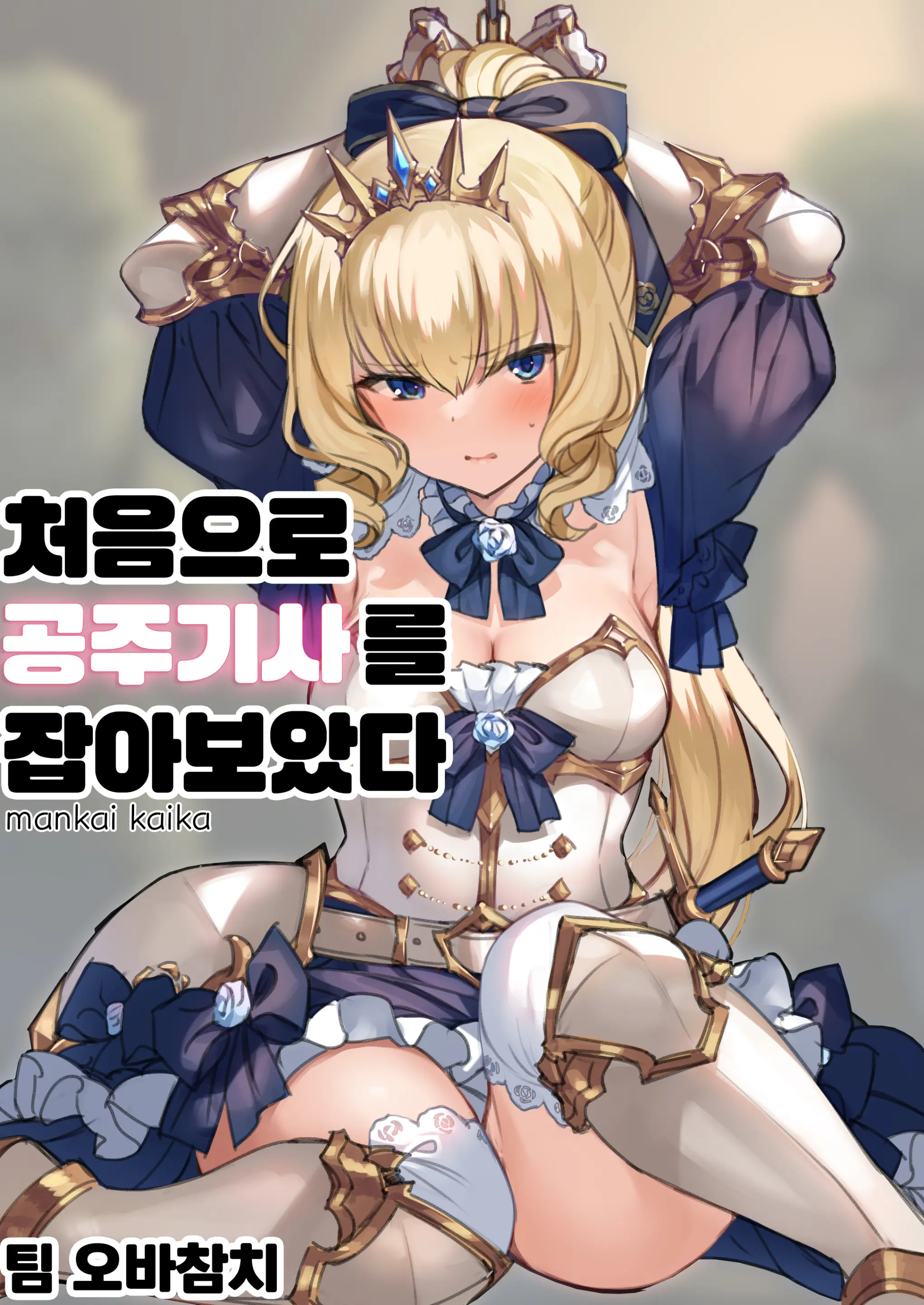 Hajimete Hime Kishi O Tsukamaete Mita | 처음으로 공주기사를 잡아보았다